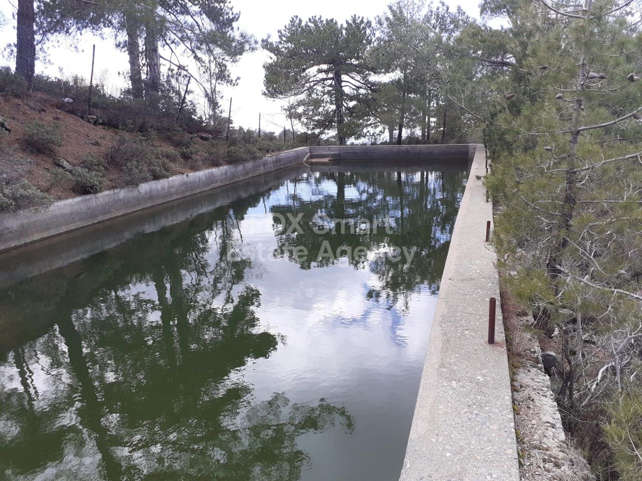 Propiedad 36380 Prodromos, Limassol / 26833