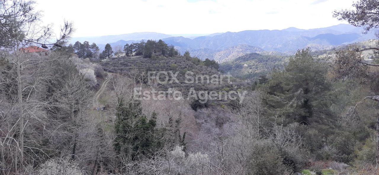 Propiedad 36380 Prodromos, Limassol / 26833