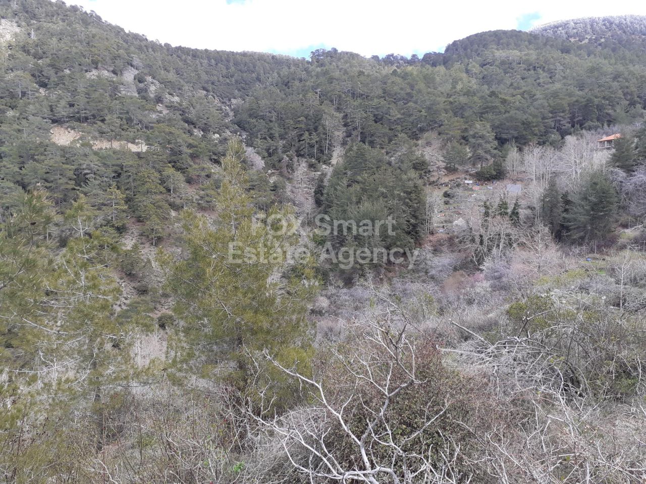 Propiedad 36380 Prodromos, Limassol / 26833