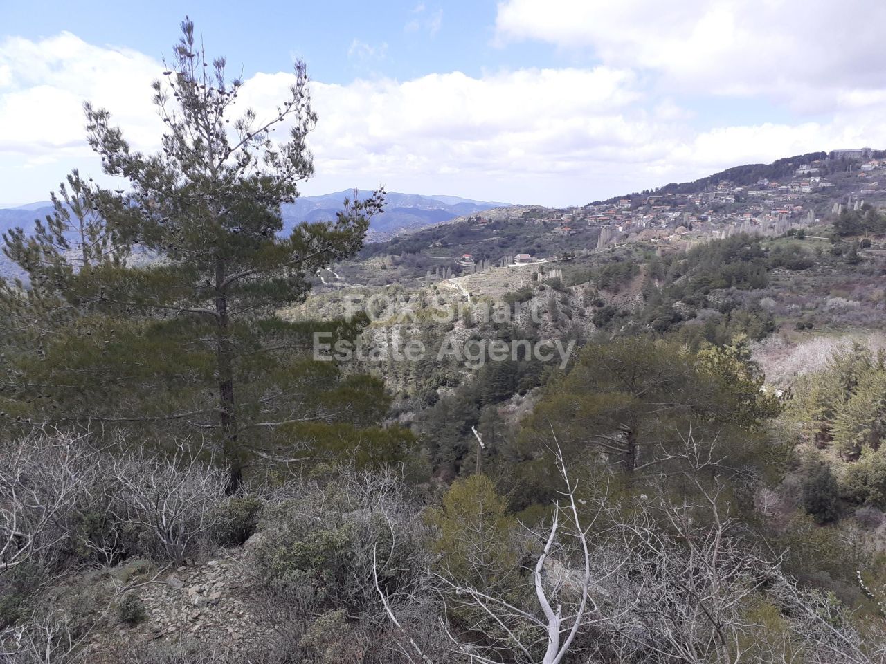 Propiedad 36380 Prodromos, Limassol / 26833