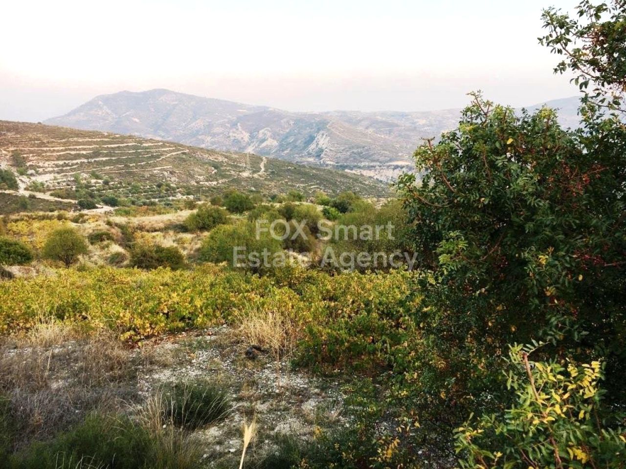 Thumbnail 1 LIM-PAF-31445 / נכס 4742 סיליקו, לימסול | LIM-PAF-31445 Thumbnail 1 LIM-PAF-31445 / נכס 4742 סיליקו, לימסול