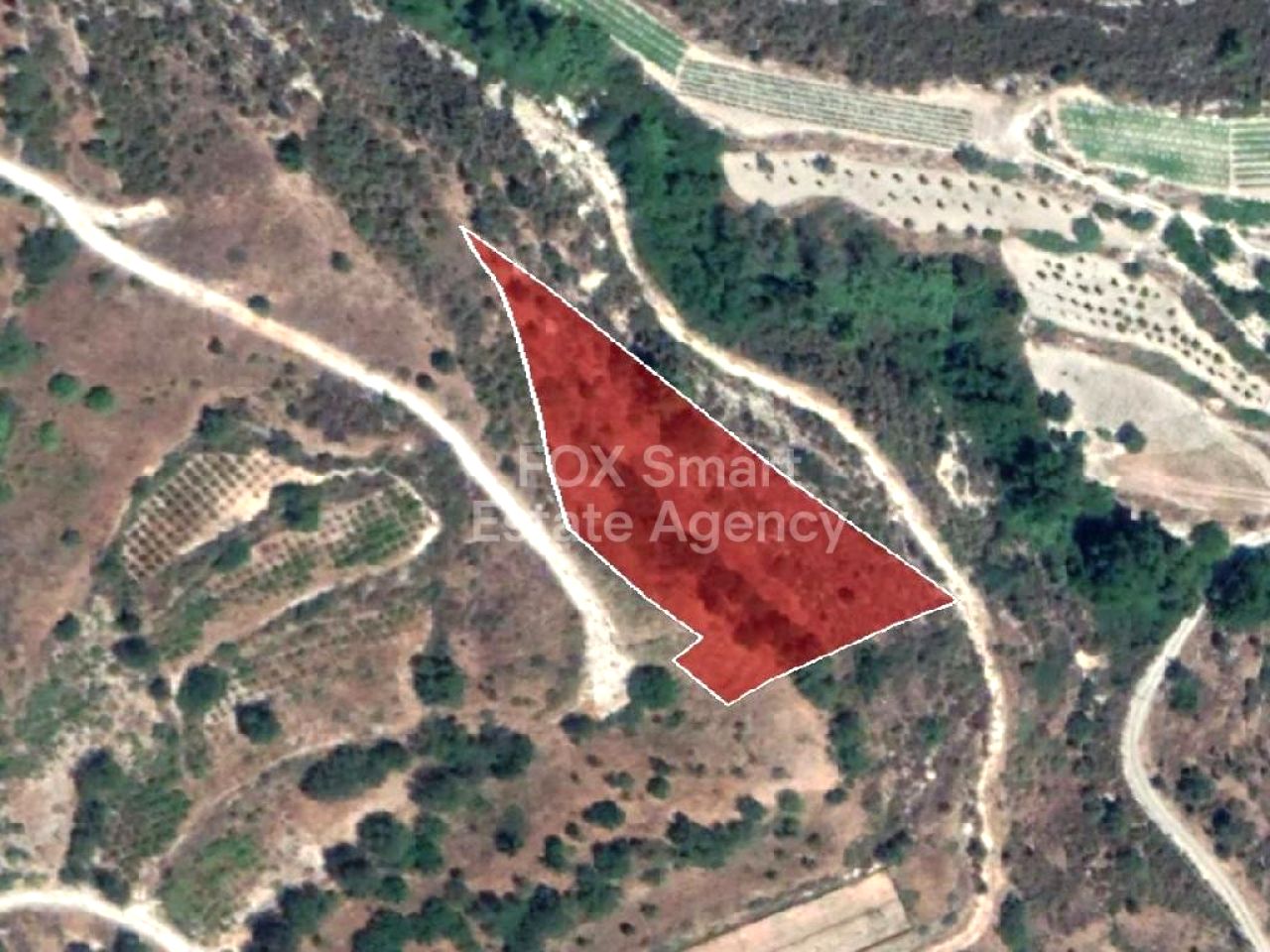 Thumbnail 2 LIM-PAF-31445 / נכס 4742 סיליקו, לימסול | LIM-PAF-31445 Thumbnail 2 LIM-PAF-31445 / נכס 4742 סיליקו, לימסול