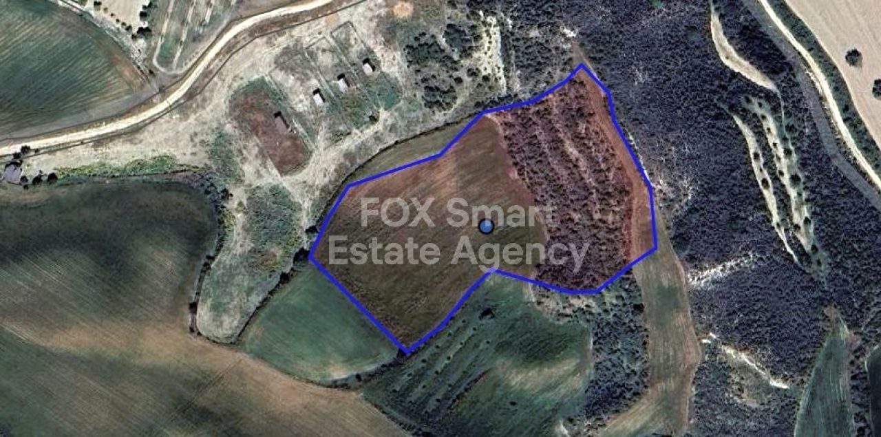 Immobile 42923 Steni, Pafos / LIM-PAF-26480