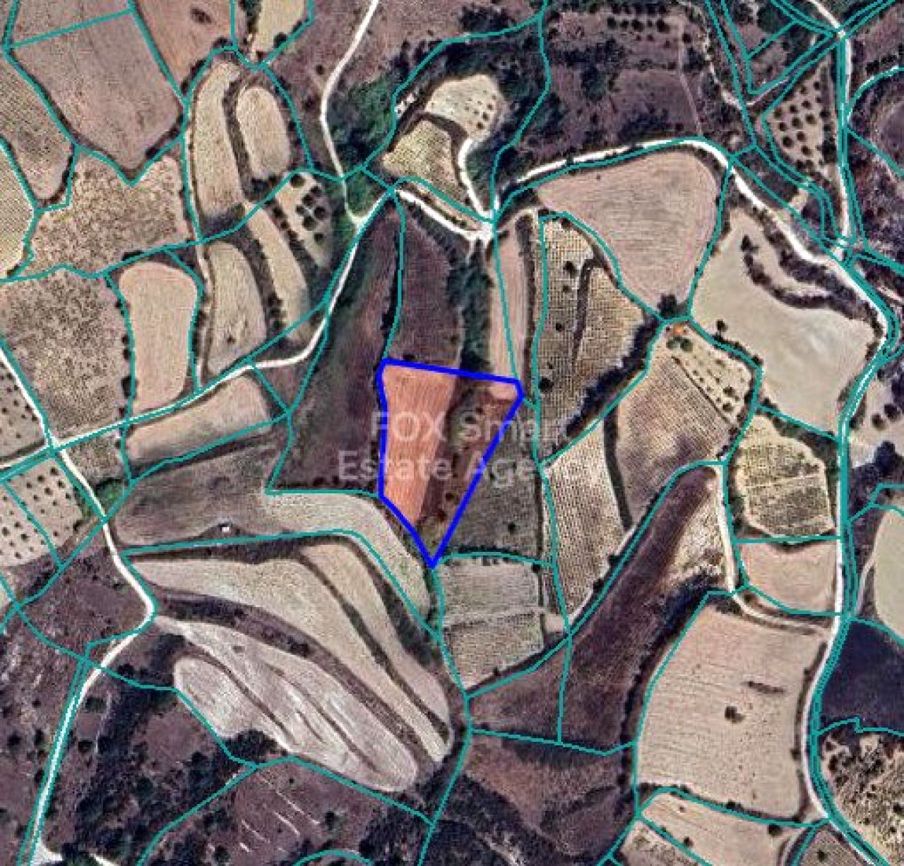 Immobile 53963 Thrinia, Pafos / LIM-PAF-31309