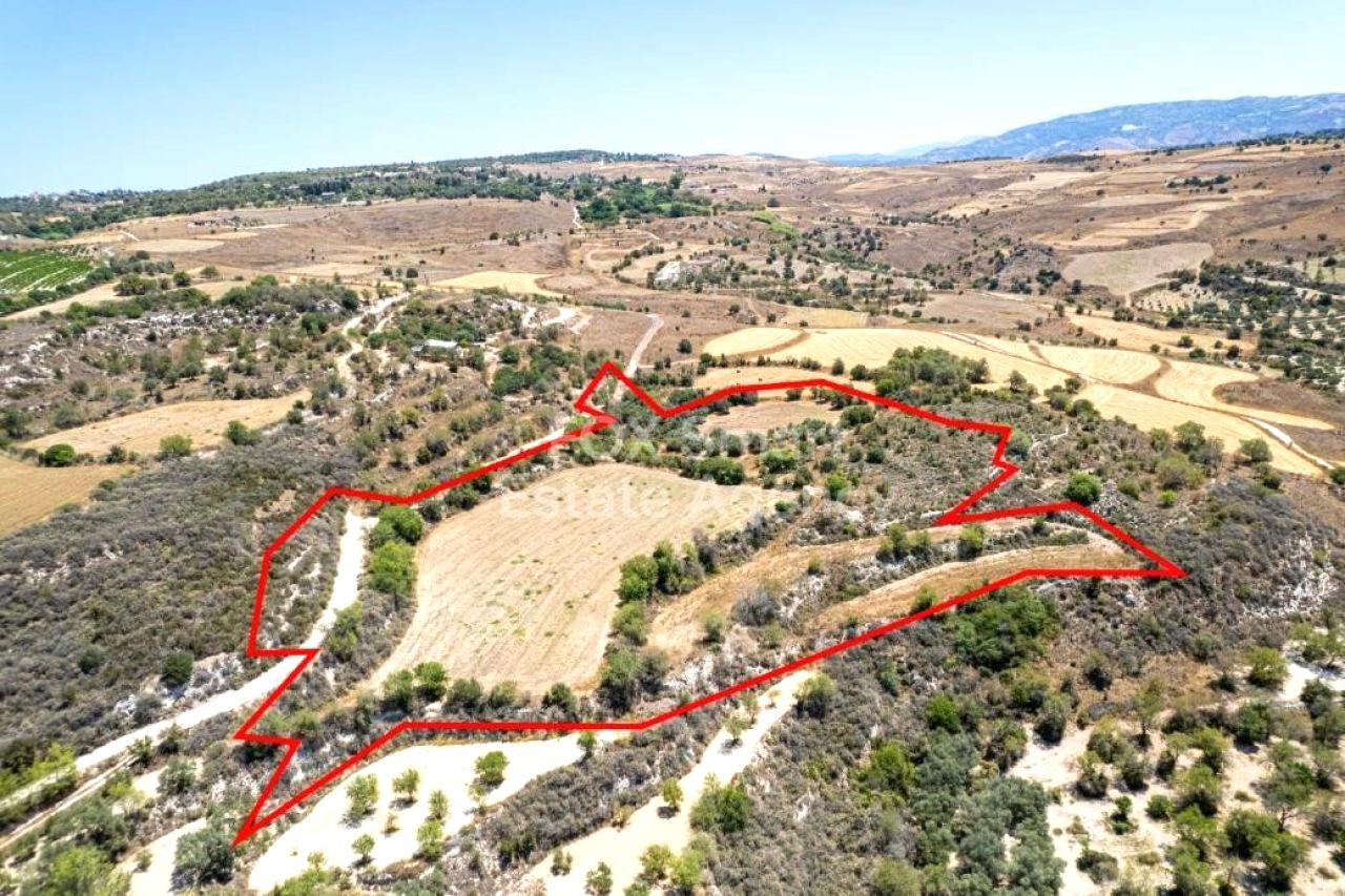 Immobile 58973 Thrinia, Pafos / LIM-PAF-33452