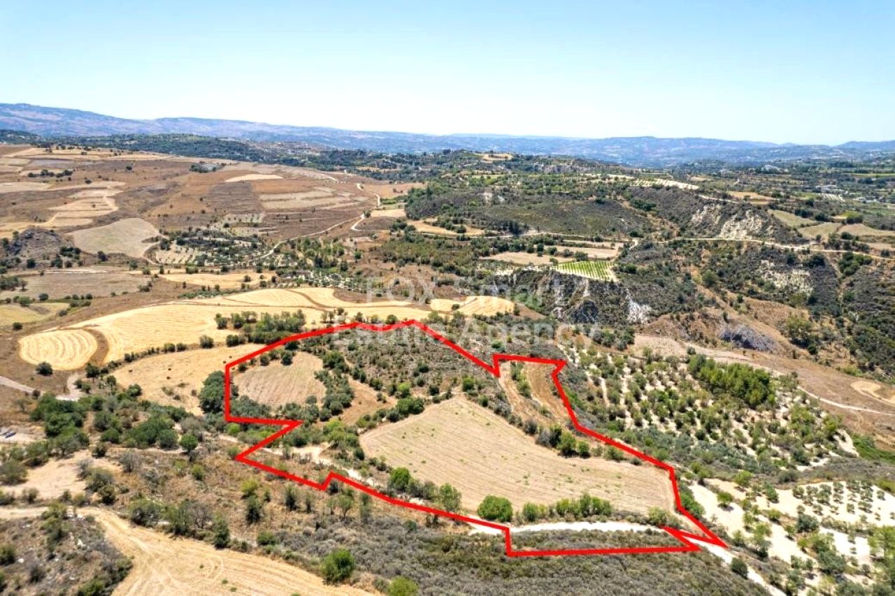 Immobile 58973 Thrinia, Pafos / LIM-PAF-33452