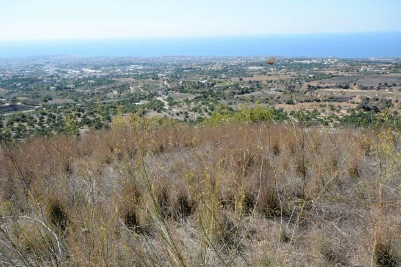 Bien immobilier 32413 Tsada, Paphos / 6877 13