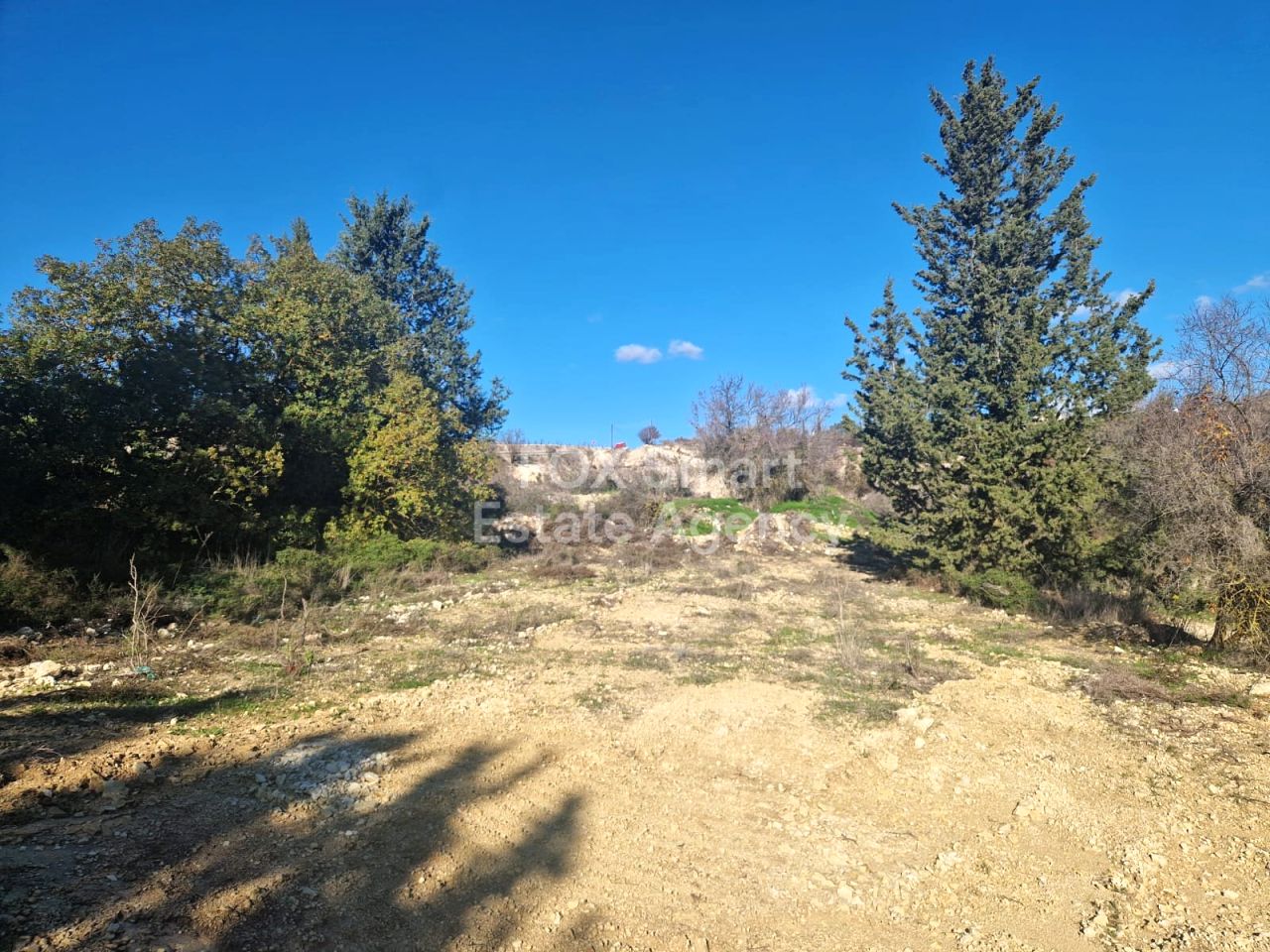 Thumbnail 2 Property 8540 Tsada, Paphos / LIM-PAF-32403