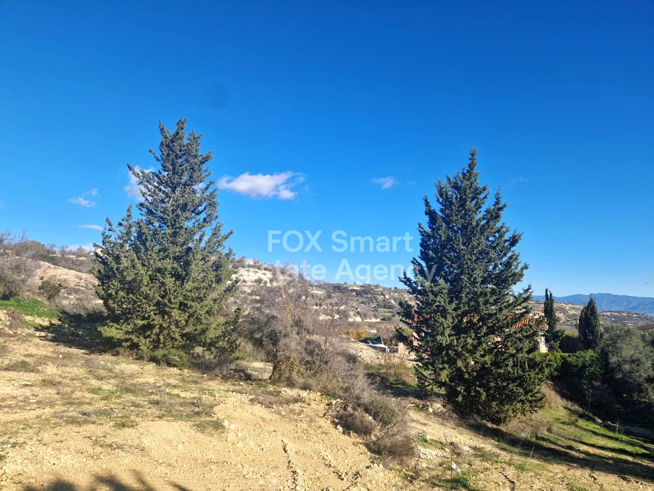 Thumbnail 4 Property 8540 Tsada, Paphos / LIM-PAF-32403