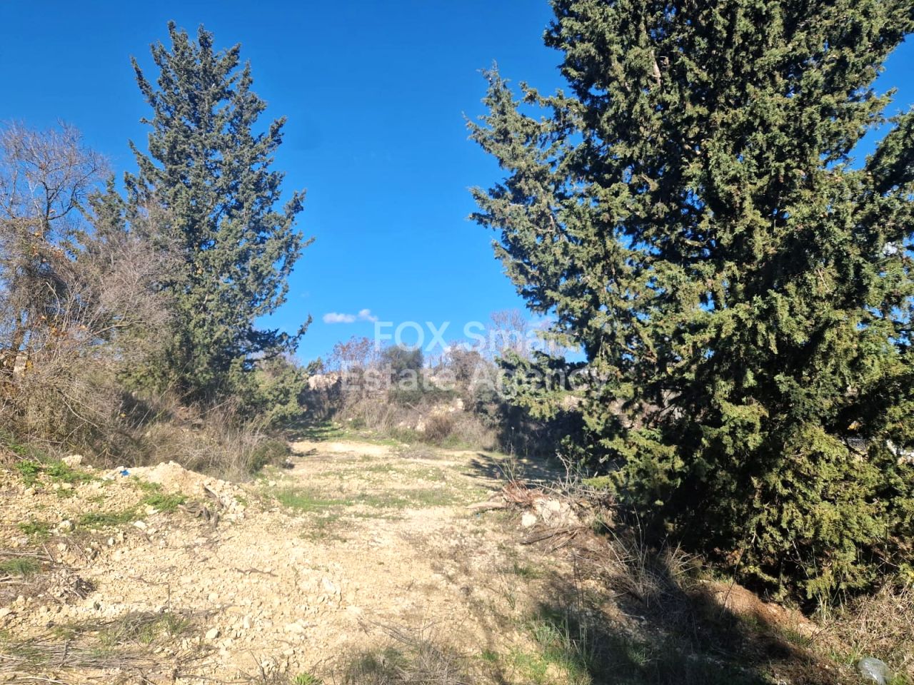 Thumbnail 1 Property 8540 Tsada, Paphos / LIM-PAF-32403