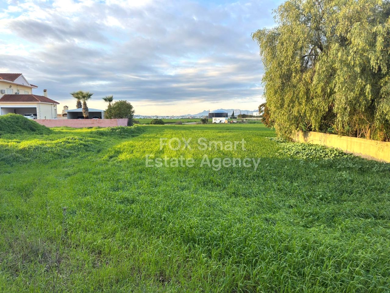 Thumbnail 1 48293 / נכס 2480 צסרי, ניקוסיה