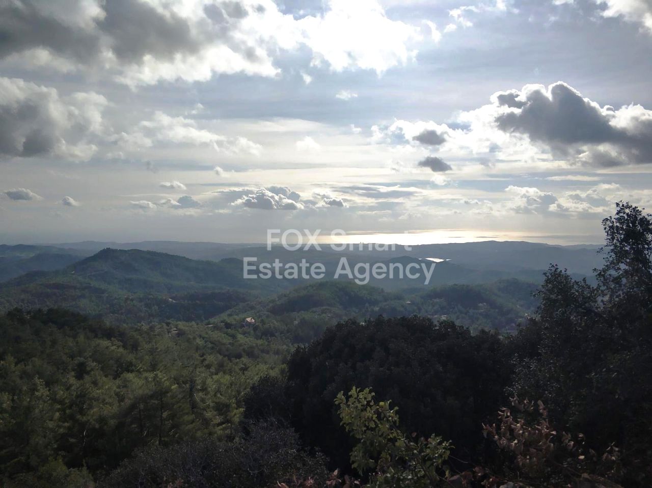 Thumbnail 3 Property 7712 Vavatsinia, Larnaca / 49618