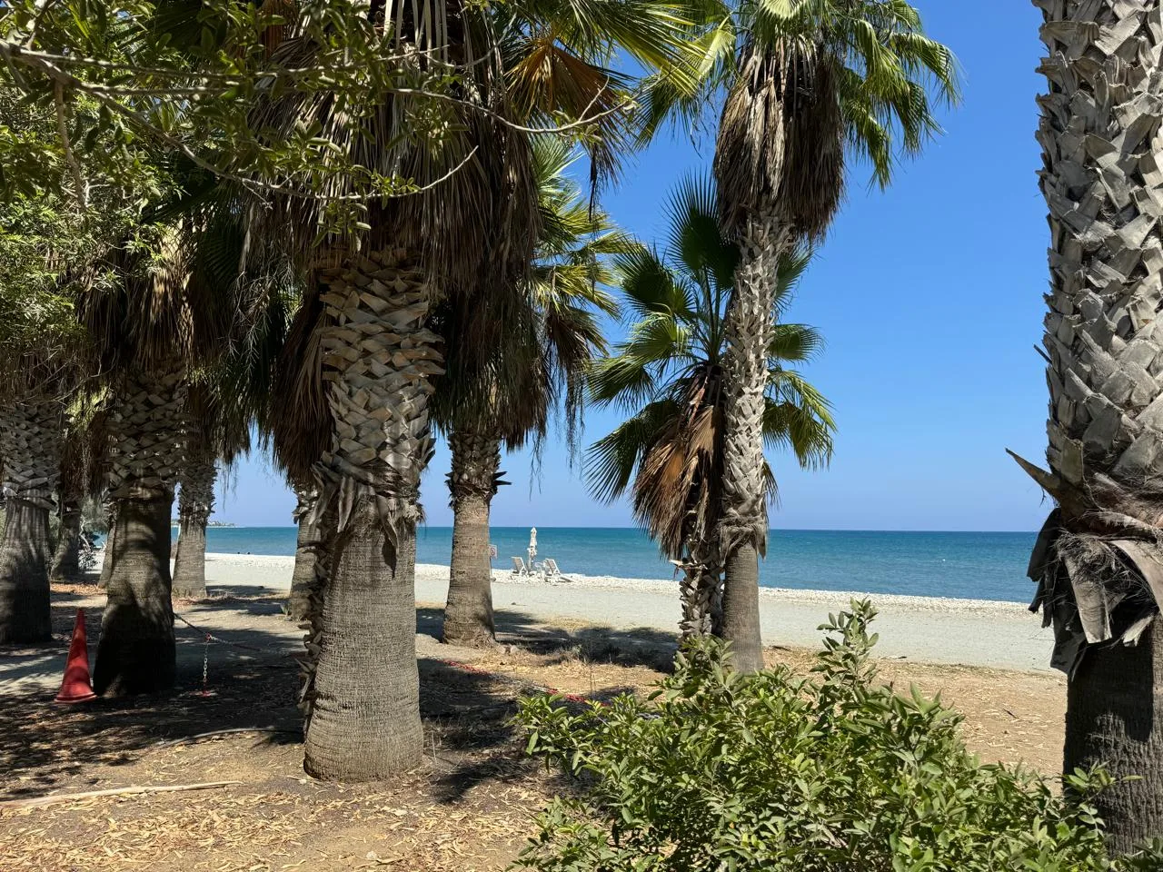 Immobilie 3000429 Dromolaxia—Meneou, Larnaka 19