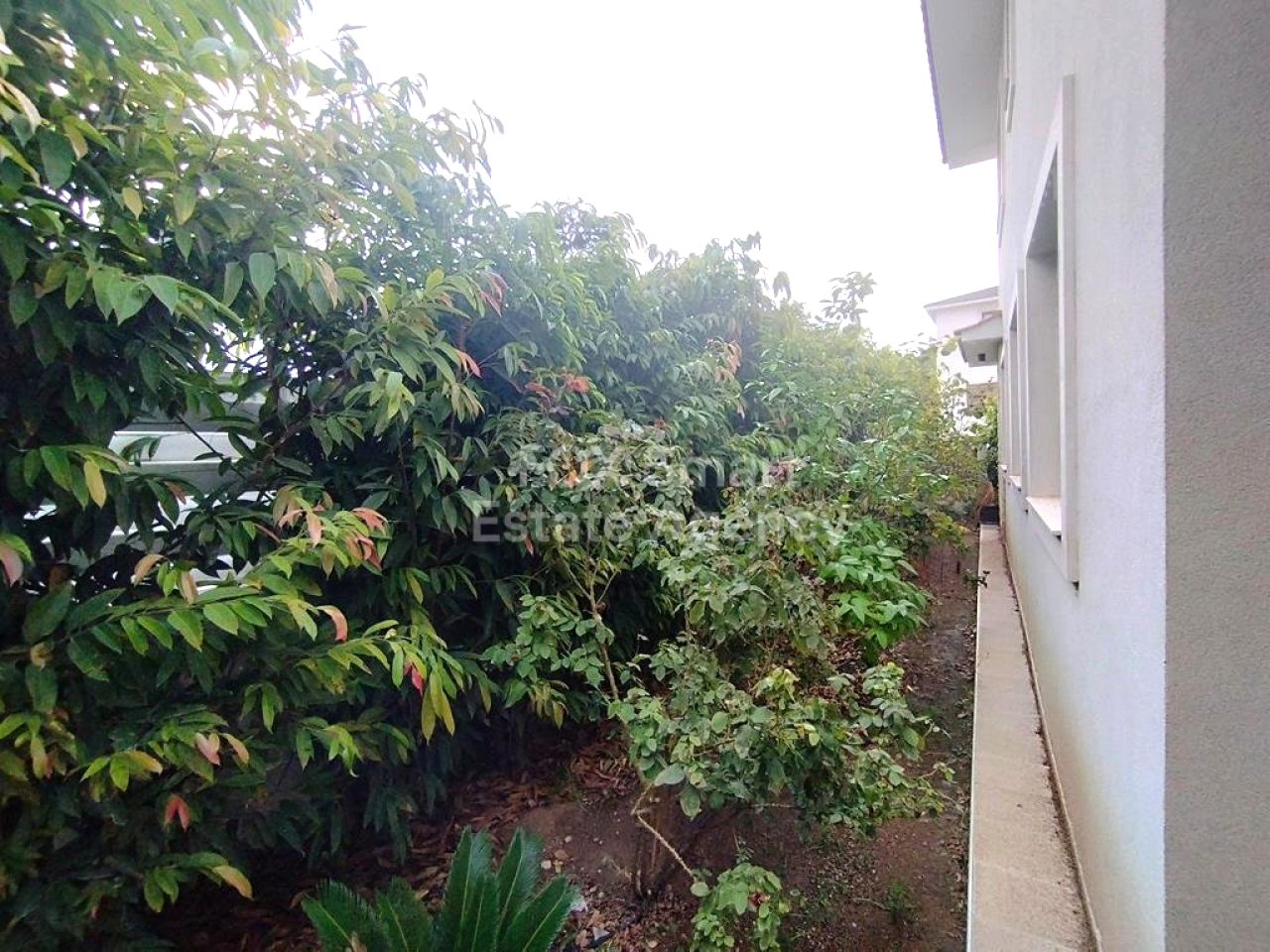 Thumbnail 21 Property 7060 Livadia, Larnaca / 47821