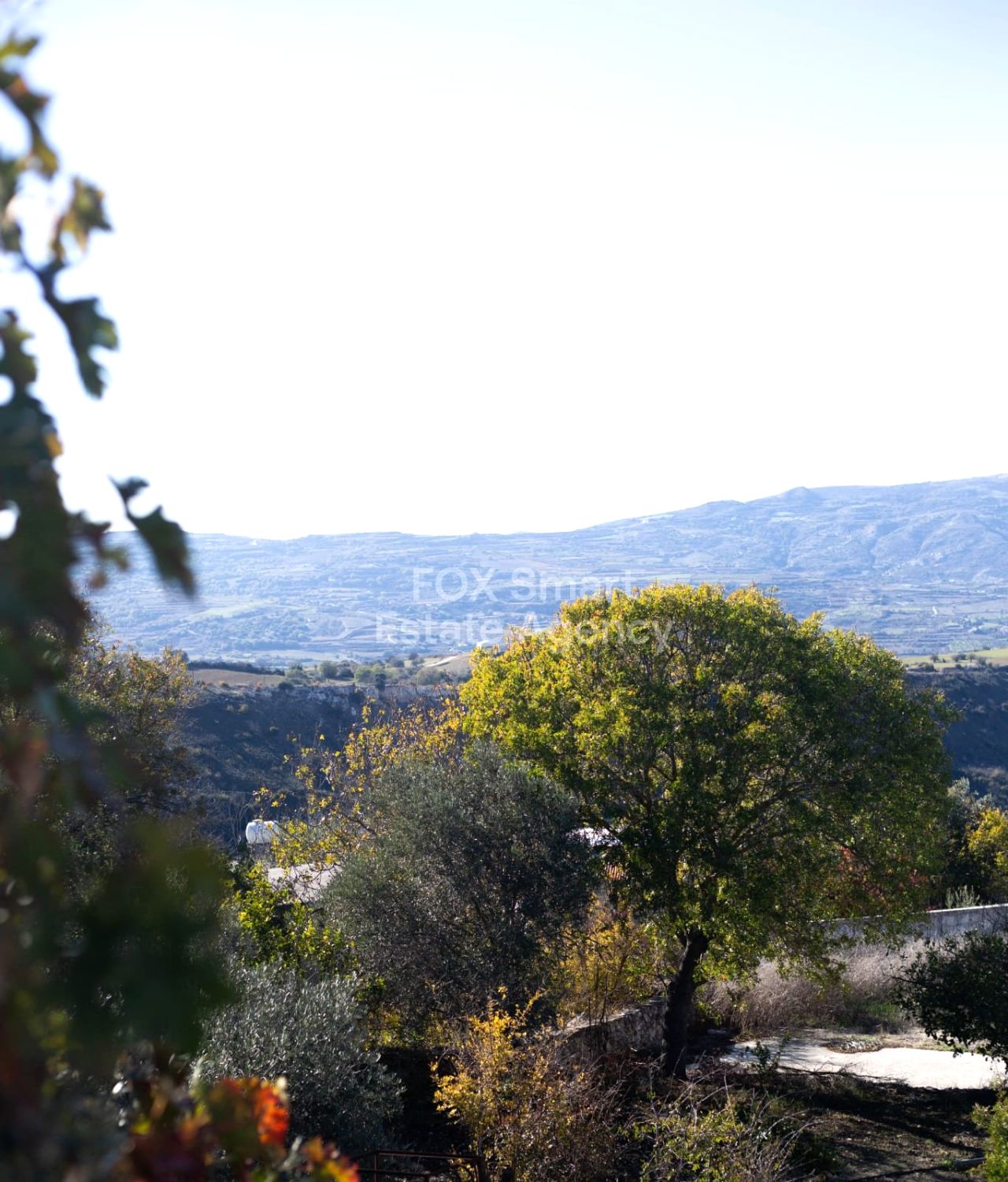 Thumbnail 2 LIM-PAF-32414 / נכס 8742 דרימו, פאפוס