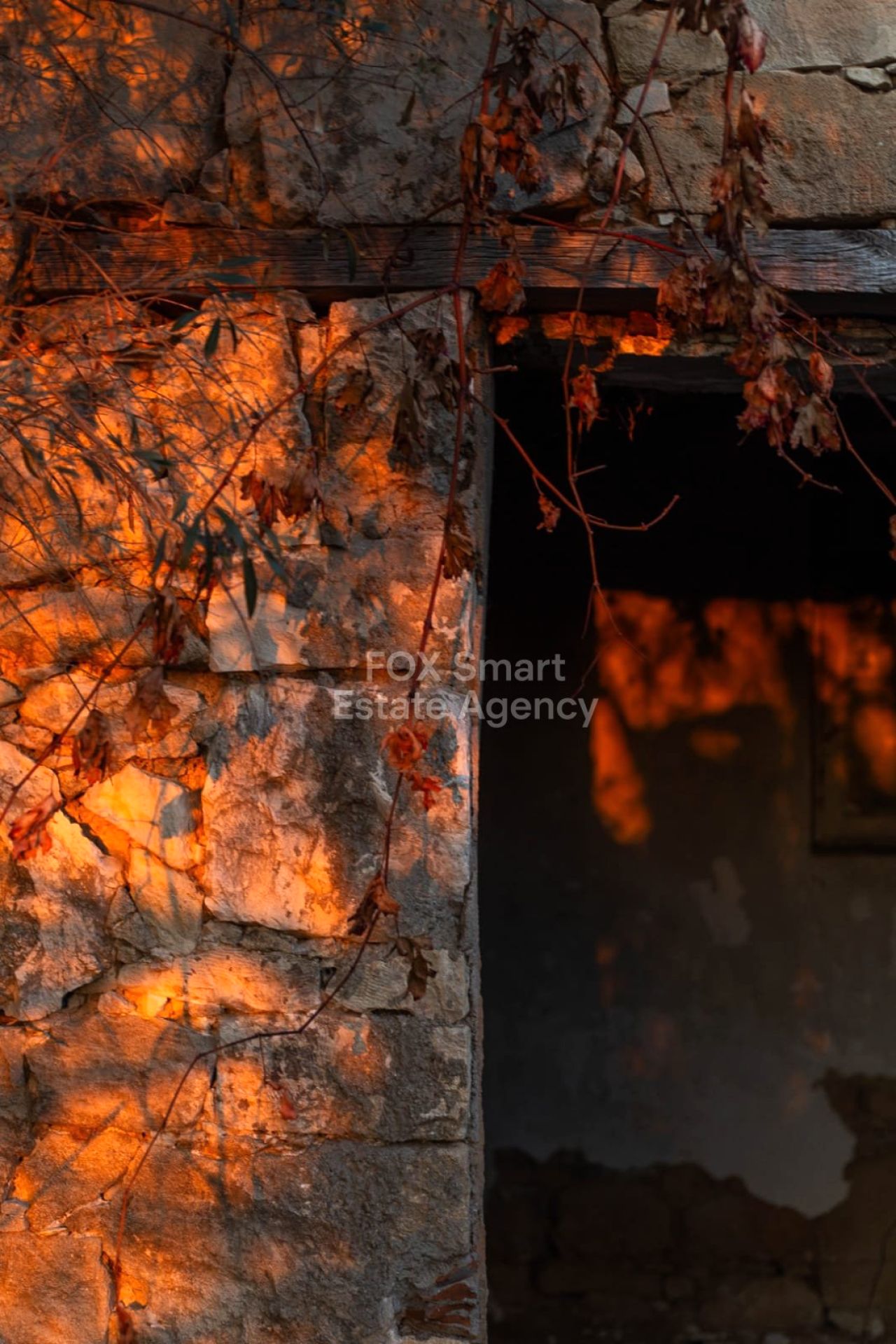 Thumbnail 10 LIM-PAF-32414 / נכס 8742 דרימו, פאפוס