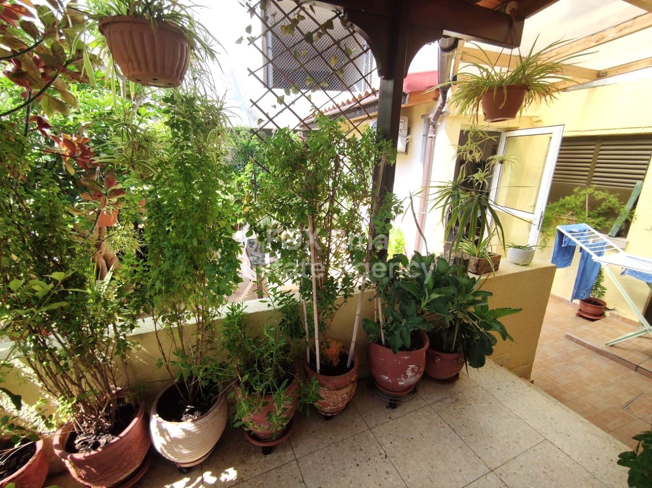 Thumbnail 27 房地产 7509 索蒂罗斯, 拉纳卡 / 44586