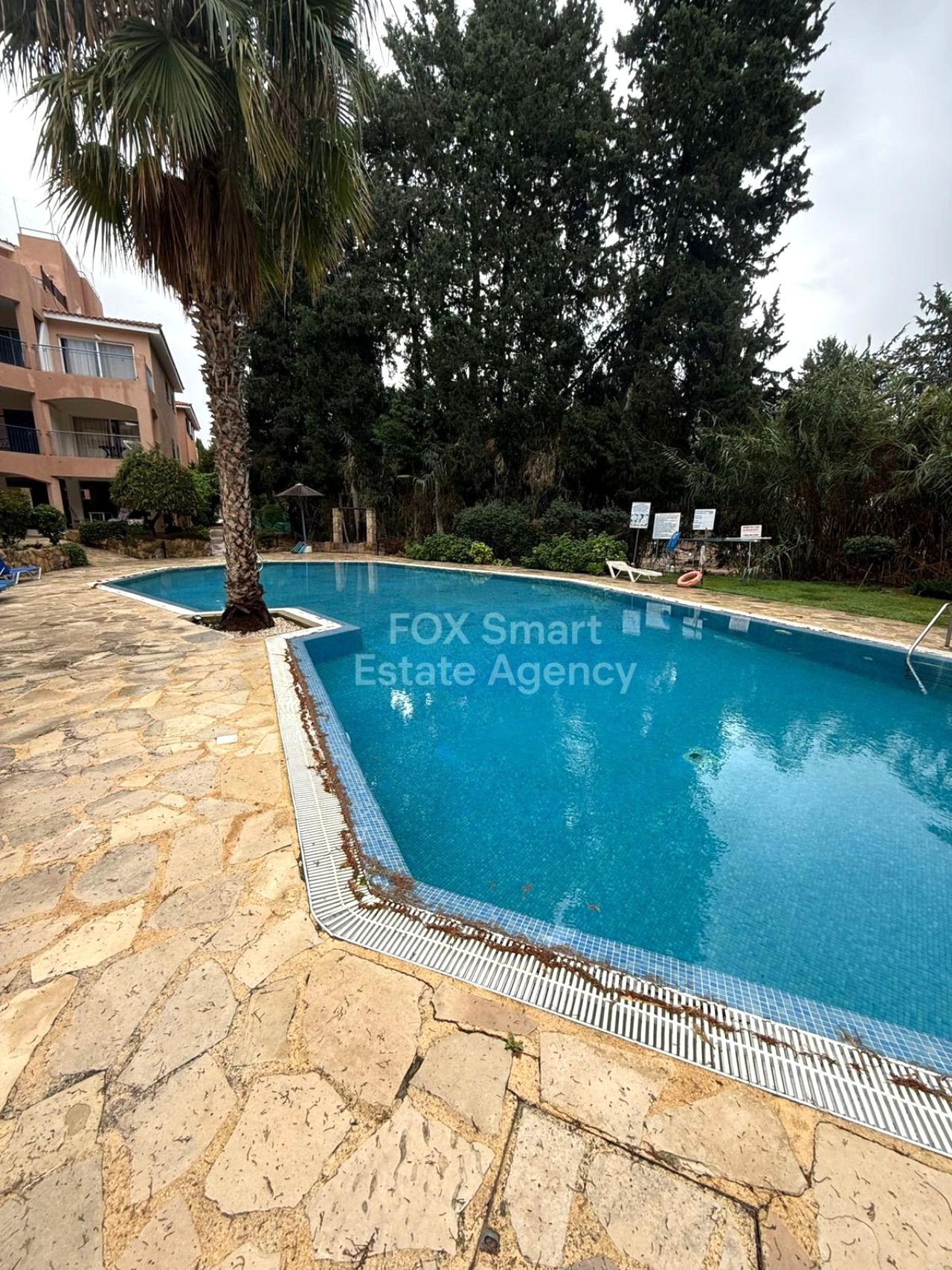 Thumbnail 2 Недвижимость 8049 Пафоса / LIM-PAF-32268