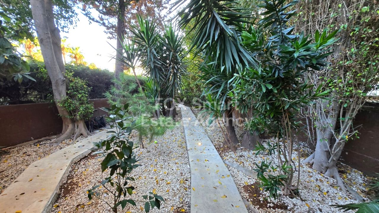 Thumbnail 14 Propriété 4520 Parekklisia, Limassol / LIM-PAF-31839