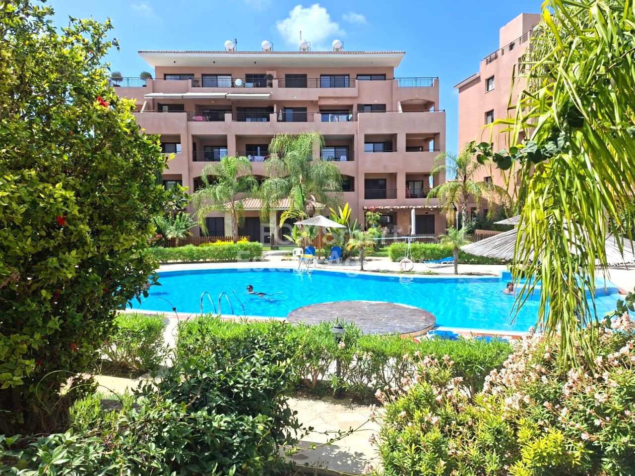 Thumbnail 11 Property 8049 Paphos / LIM-PAF-31367
