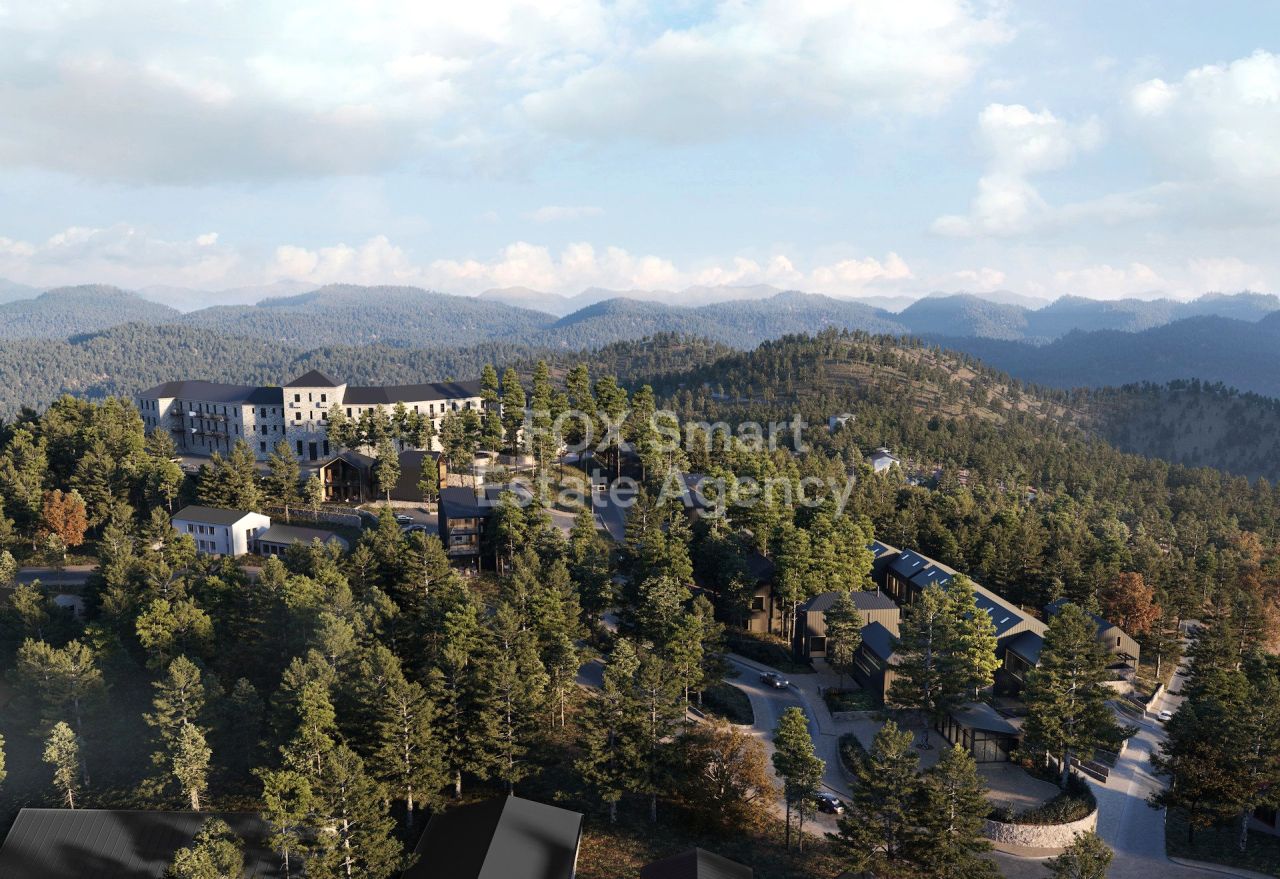 Thumbnail 1 Propiedad 4840 Prodromos, Limasol / LIM-PAF-32283