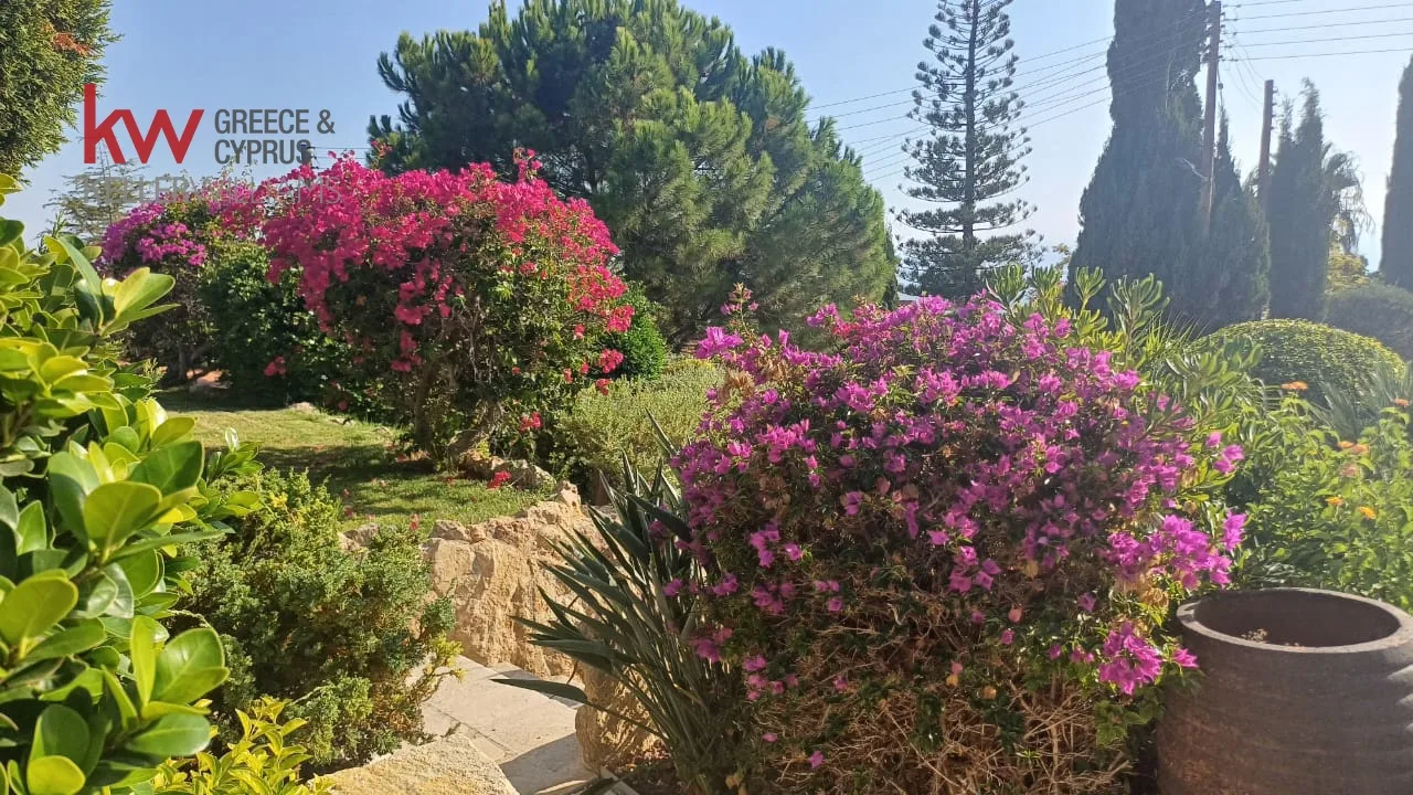 Ακίνητο SL-00107-5 Κοιλί, Πάφος 24
