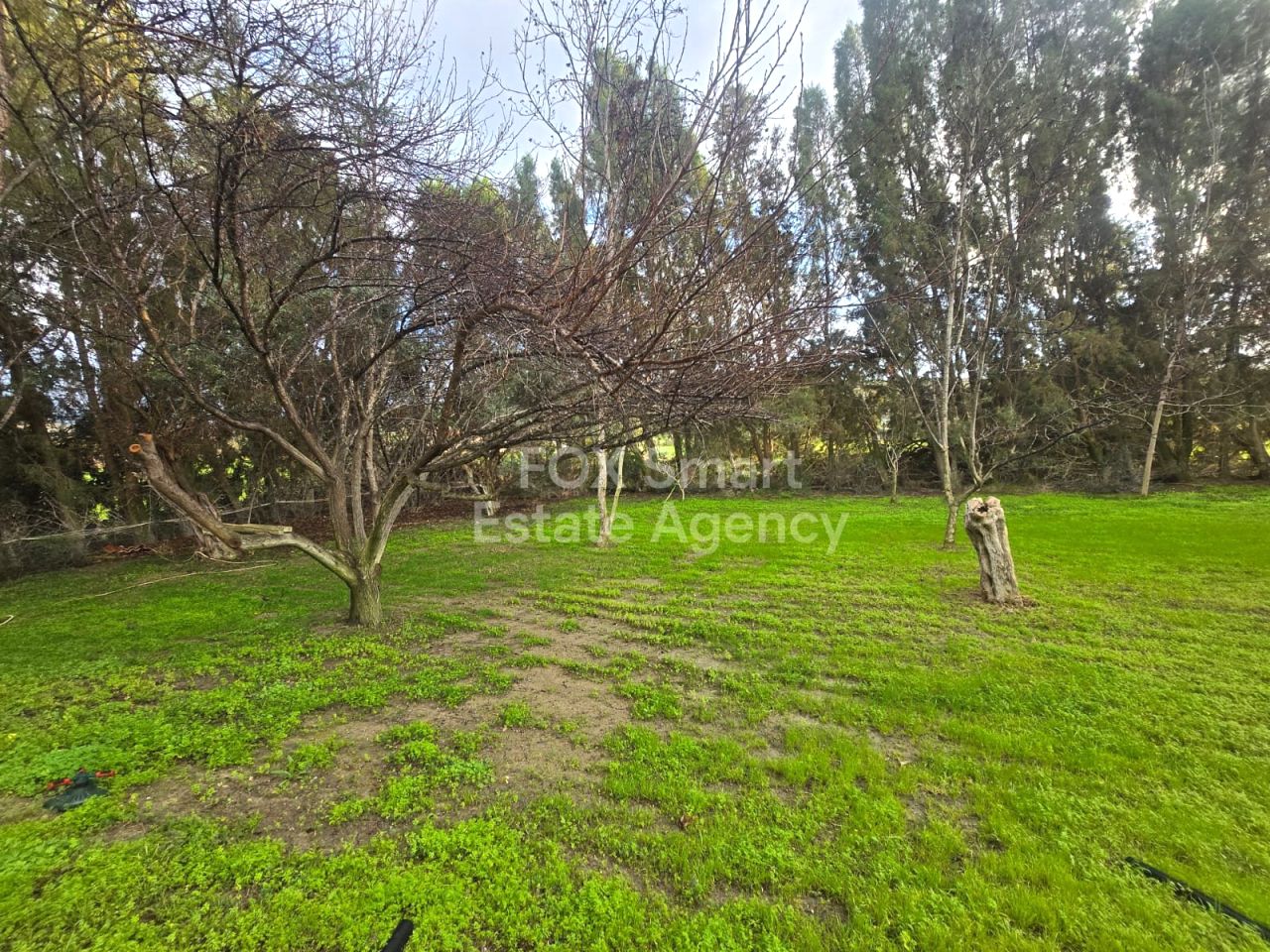 Thumbnail 29 Właściwość 2958 Mansura, Nikozja / LIM-PAF-32944