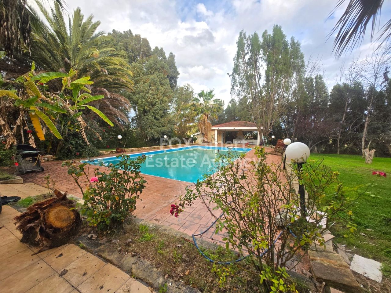 Thumbnail 25 Właściwość 2958 Mansura, Nikozja / LIM-PAF-32944