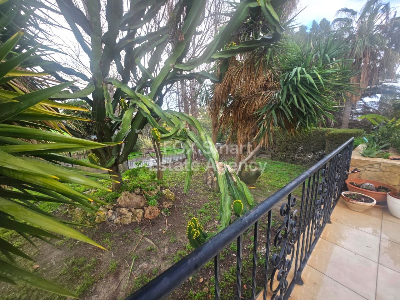 Thumbnail 33 Właściwość 2958 Mansura, Nikozja / LIM-PAF-32944