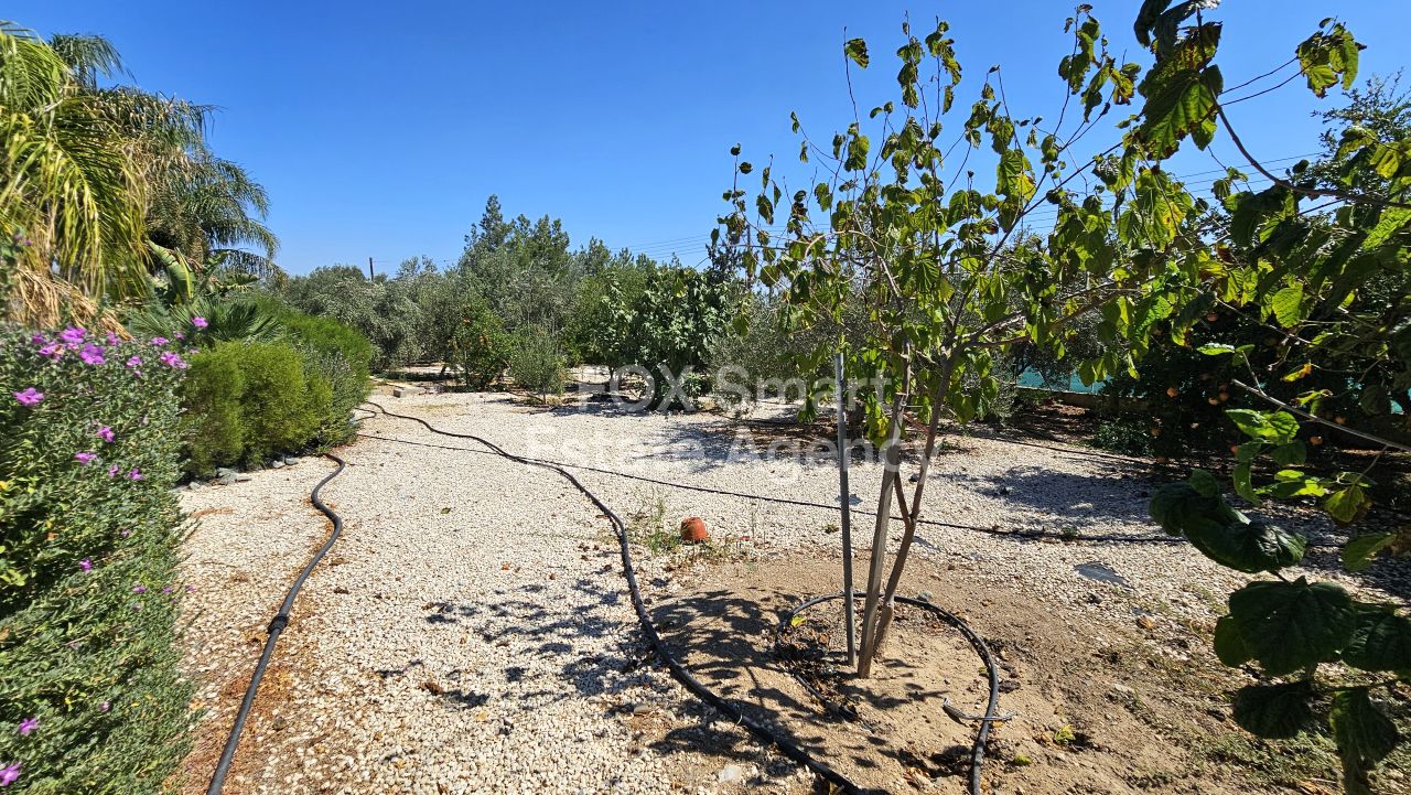 Thumbnail 35 45759 / נכס 2460 פאנו דפטרה, ניקוסיה