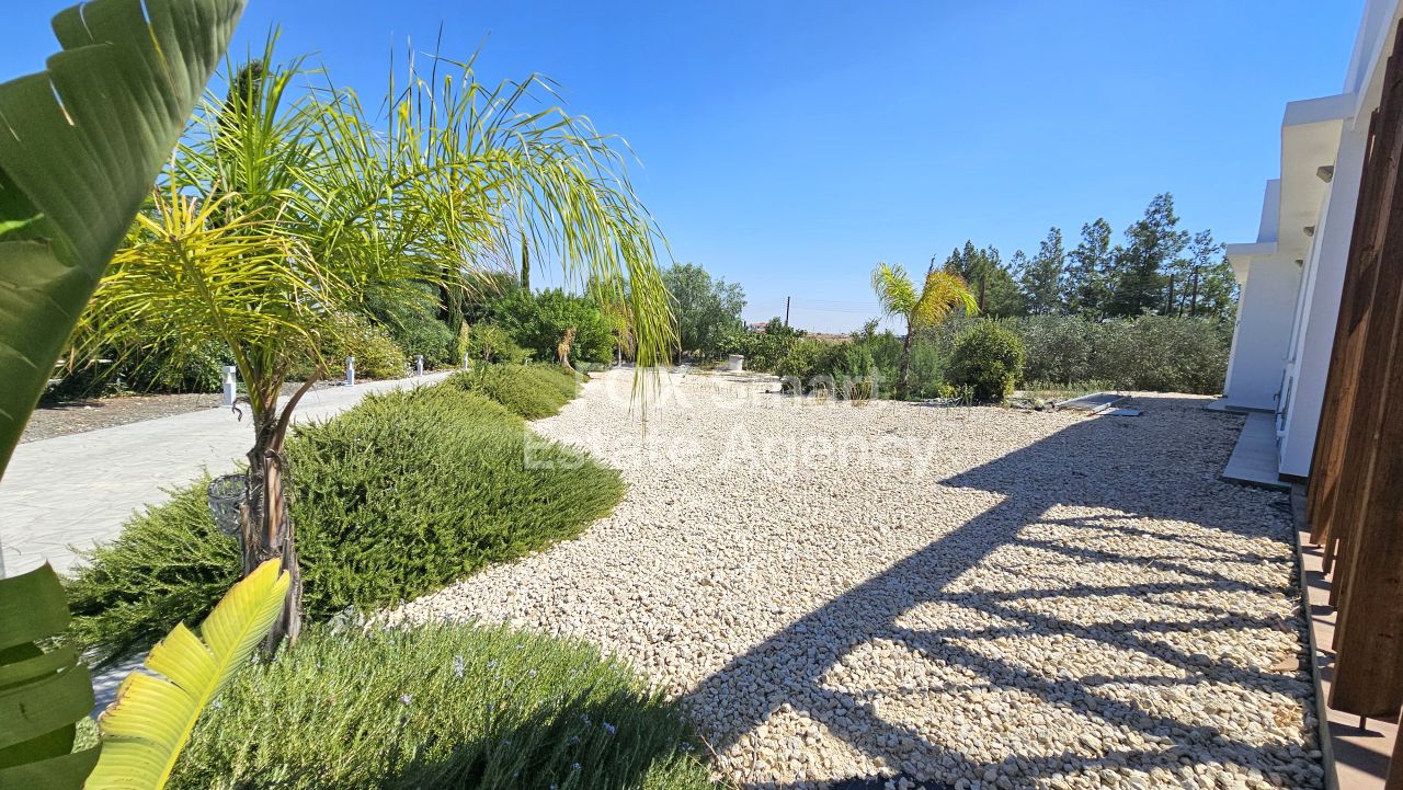 Thumbnail 37 45759 / נכס 2460 פאנו דפטרה, ניקוסיה