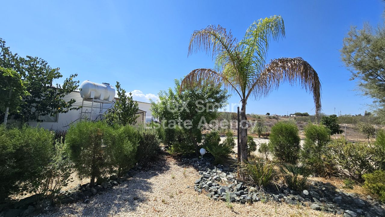 Thumbnail 4 45759 / נכס 2460 פאנו דפטרה, ניקוסיה