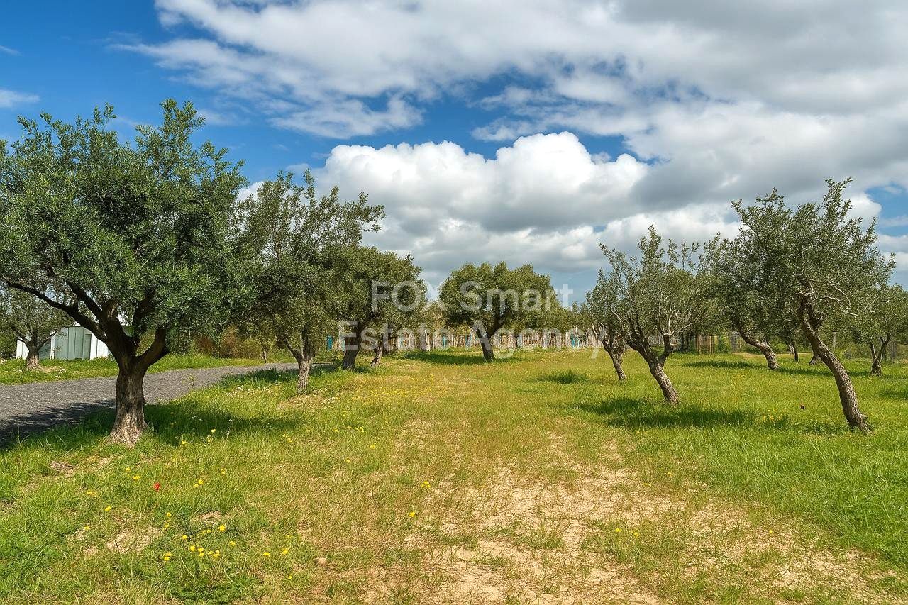 Thumbnail 13 Właściwość 8049 Pafos / LIM-PAF-32477