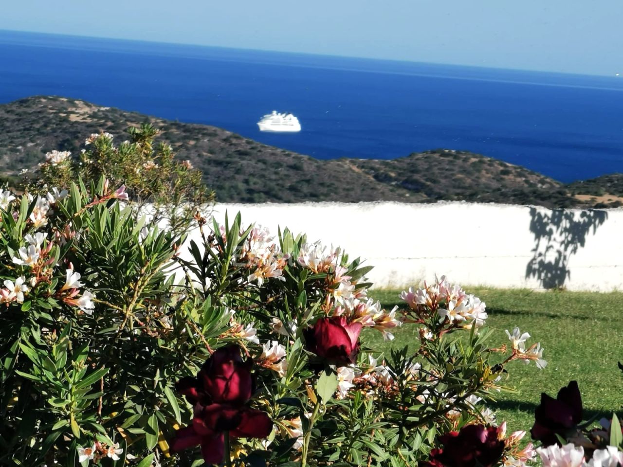 Thumbnail 18 Недвижимость 4520 Парекклисия, Лимассол / LIM-PAF-31836