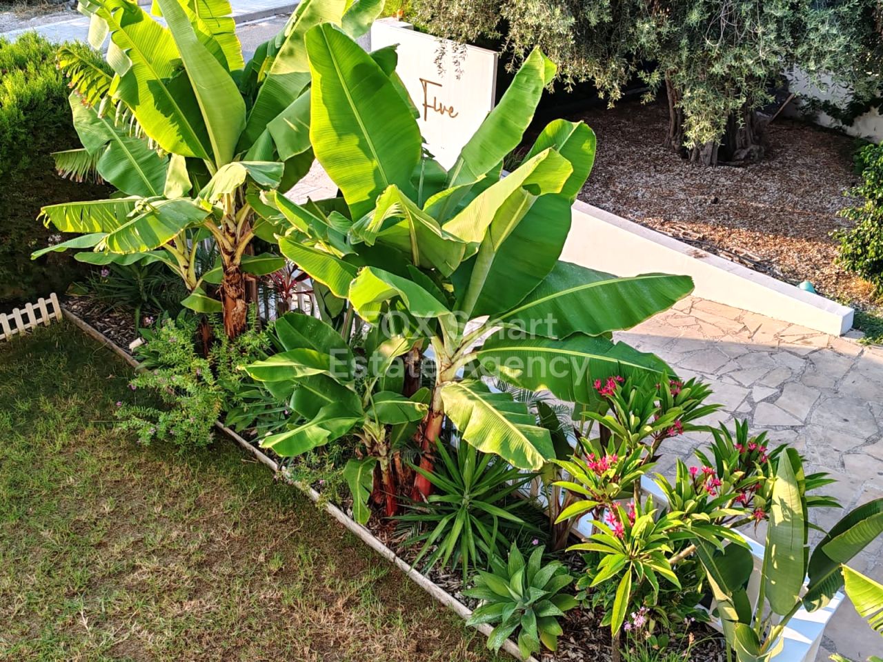 Thumbnail 22 EIGENTUM 8560 Pegeia, Paphos / LIM-PAF-33317