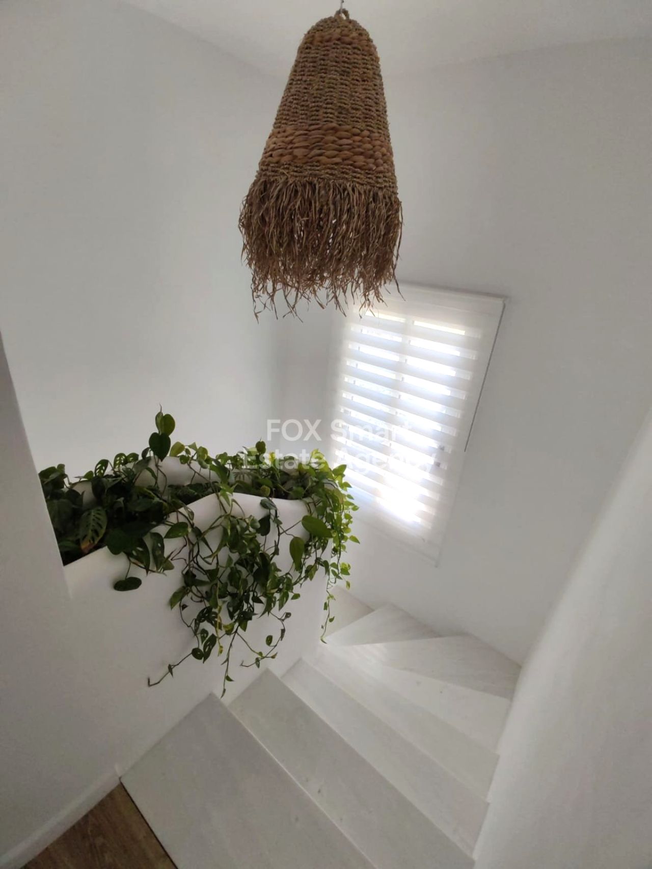 Thumbnail 21 EIGENTUM 8560 Pegeia, Paphos / LIM-PAF-33317