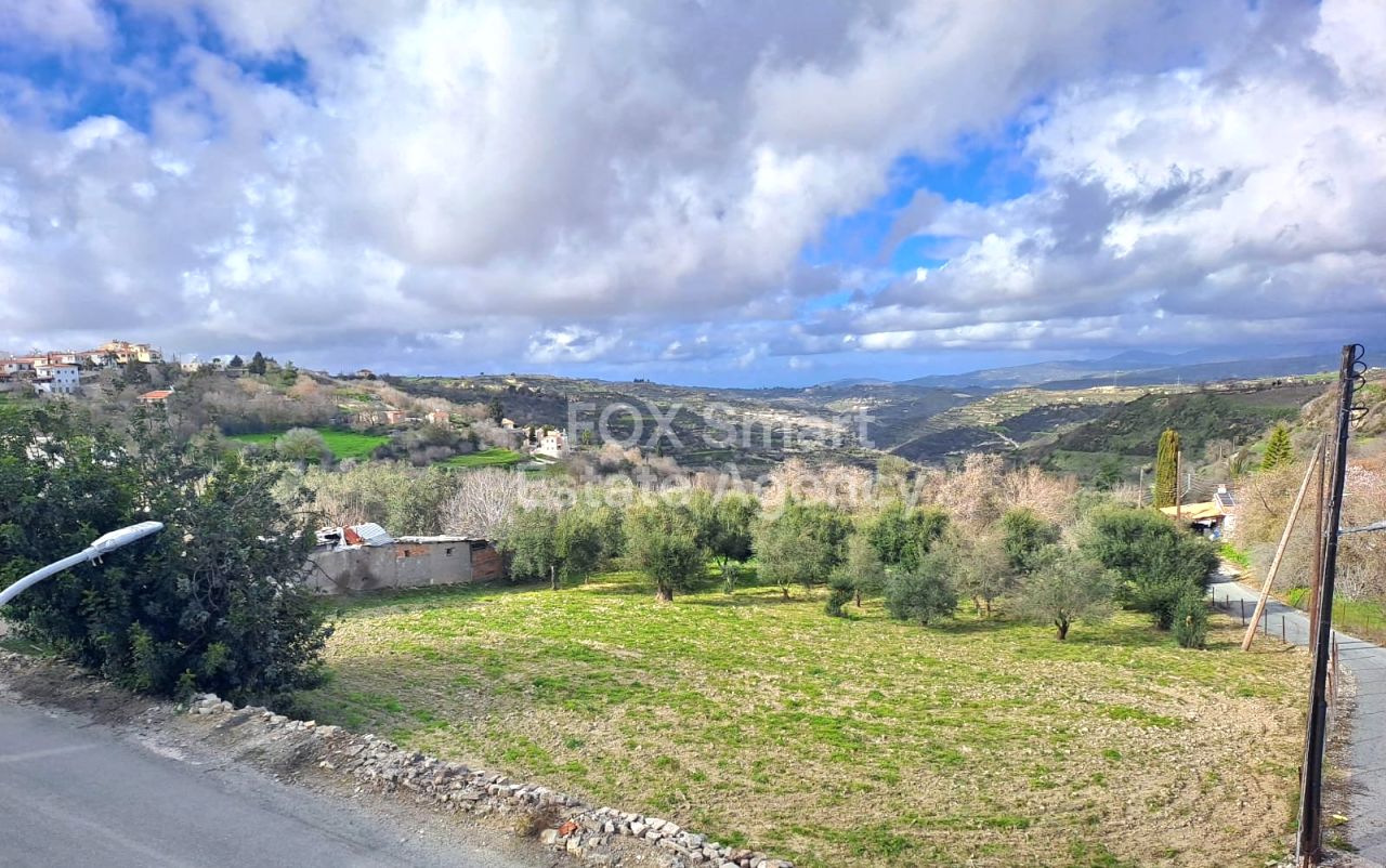 Thumbnail 30 Proprietà 8540 Tsada, Paphos / LIM-PAF-33176