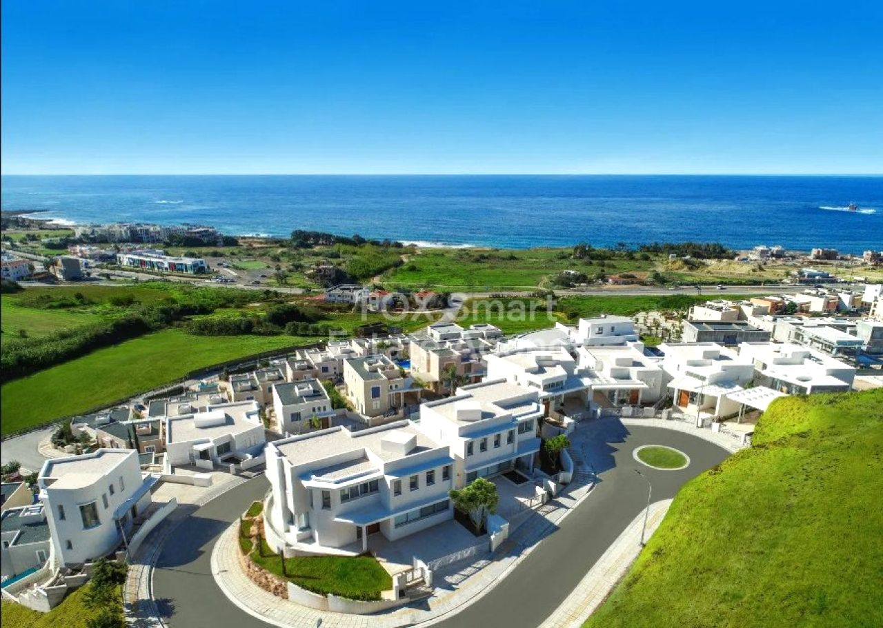 Thumbnail 4 Proprietà 8220 Chloraka, Paphos / LIM-PAF-31555