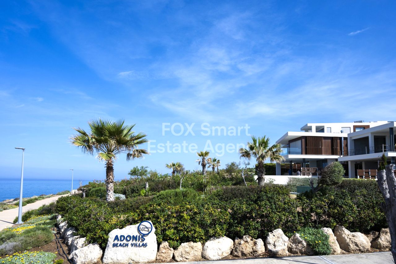 Thumbnail 11 Property 8220 Chloraka, Paphos / LIM-PAF-31640 | LIM-PAF-31640 Thumbnail 11 Property 8220 Chloraka, Paphos / LIM-PAF-31640