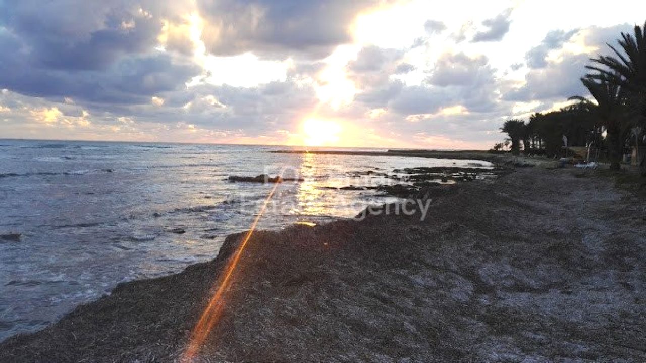 Thumbnail 13 Proprietà 8220 Chloraka, Paphos / LIM-PAF-31691