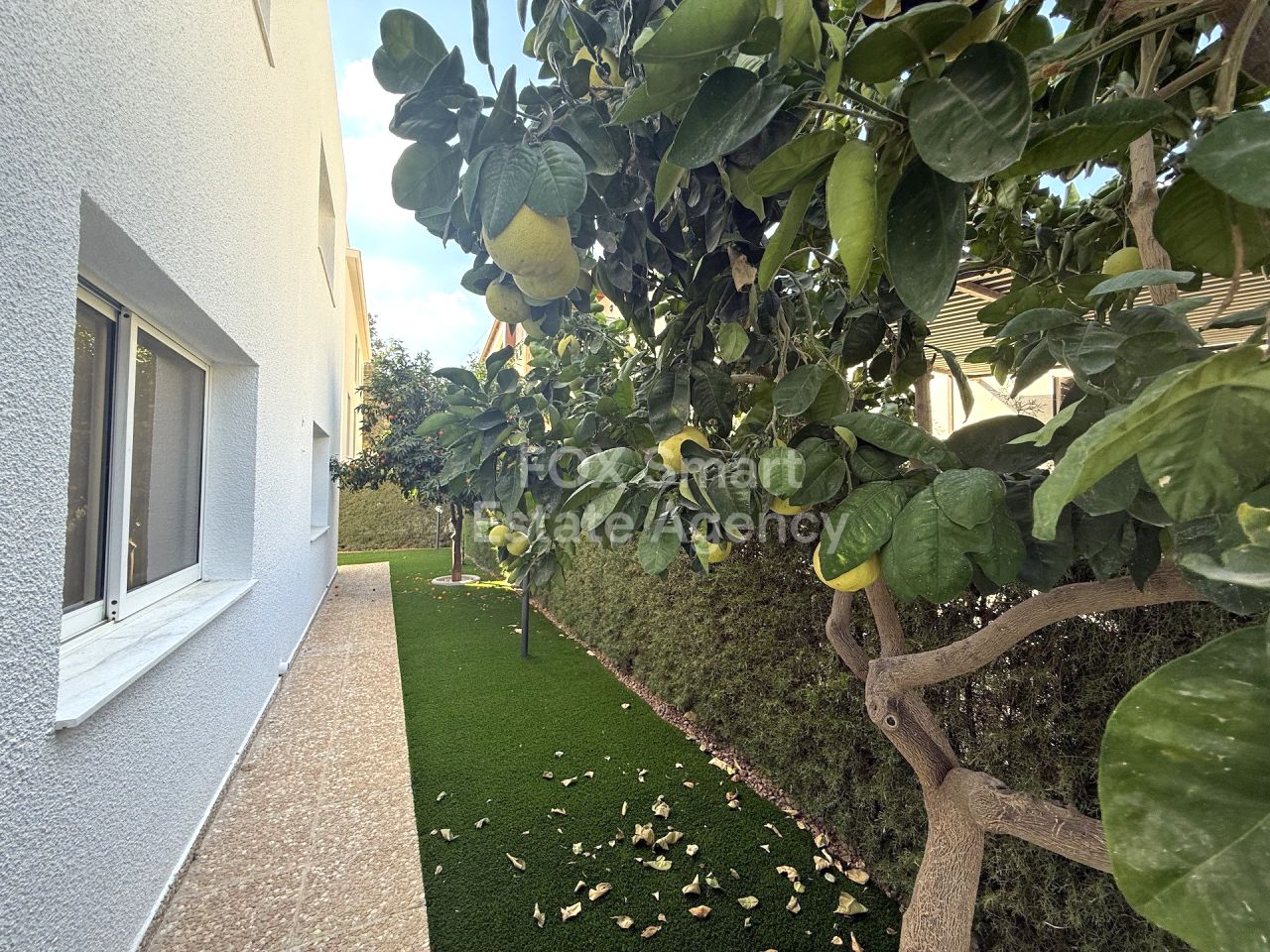 Thumbnail 6 EIGENTUM 2800 Ekali, Limassol / LIM-PAF-31804