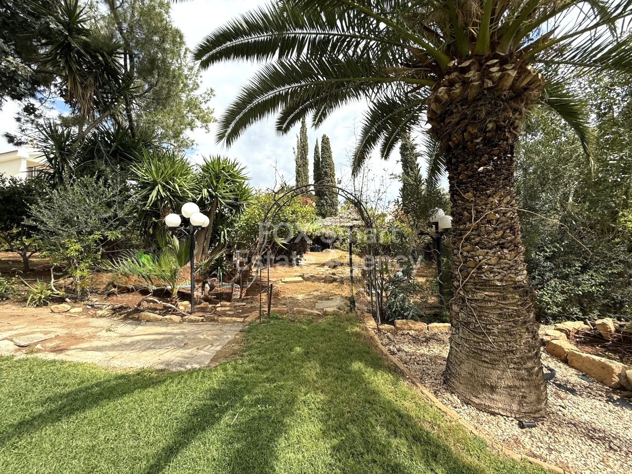 Thumbnail 15 LIM-PAF-33344 / נכס 4040 גרמזוגיה, לימסול