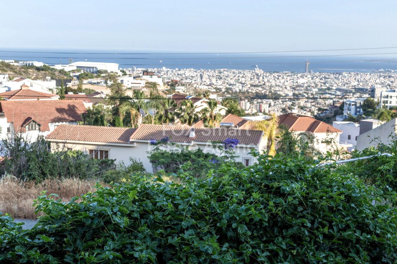 Thumbnail 29 房地产 3101 利马索尔 / LIM-PAF-31290