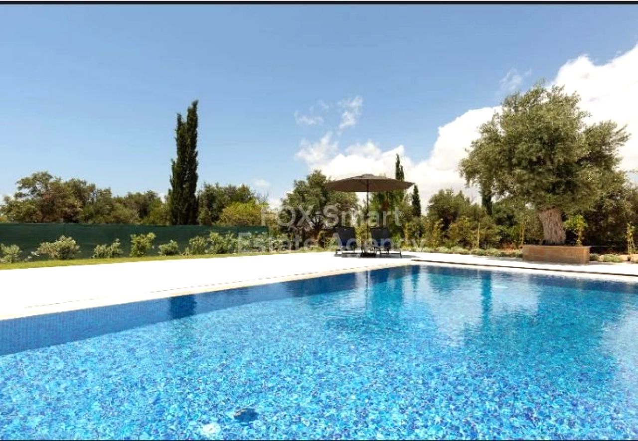 Thumbnail 19 Property 2958 Mansoura, Nicosia / LIM-PAF-30337
