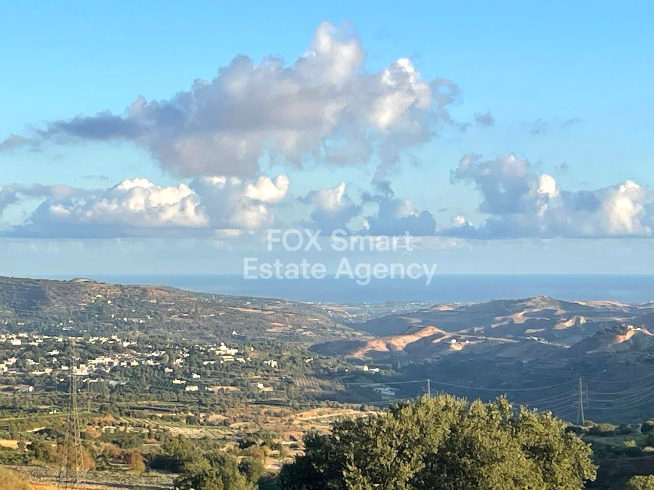 Thumbnail 48 LIM-PAF-31304 / נכס 8049 פאפוס