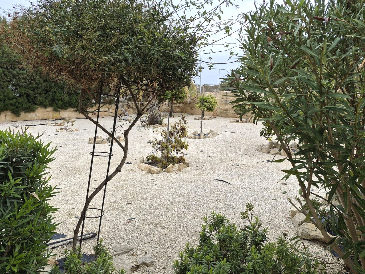 Thumbnail 26 Propiedad 8049 Pafos / LIM-PAF-33330