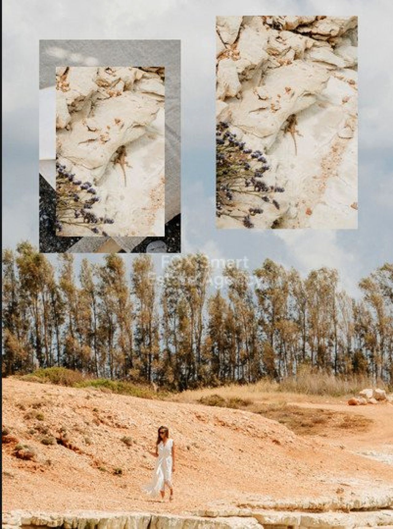 Thumbnail 12 Propriété 8560 Pegeia, Paphos / LIM-PAF-32943