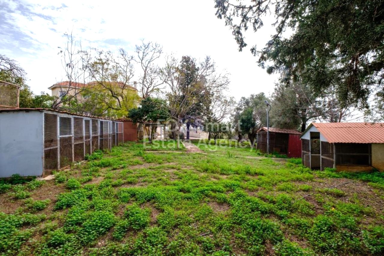 Thumbnail 14 Proprietà 8560 Pegeia, Paphos / LIM-PAF-33457