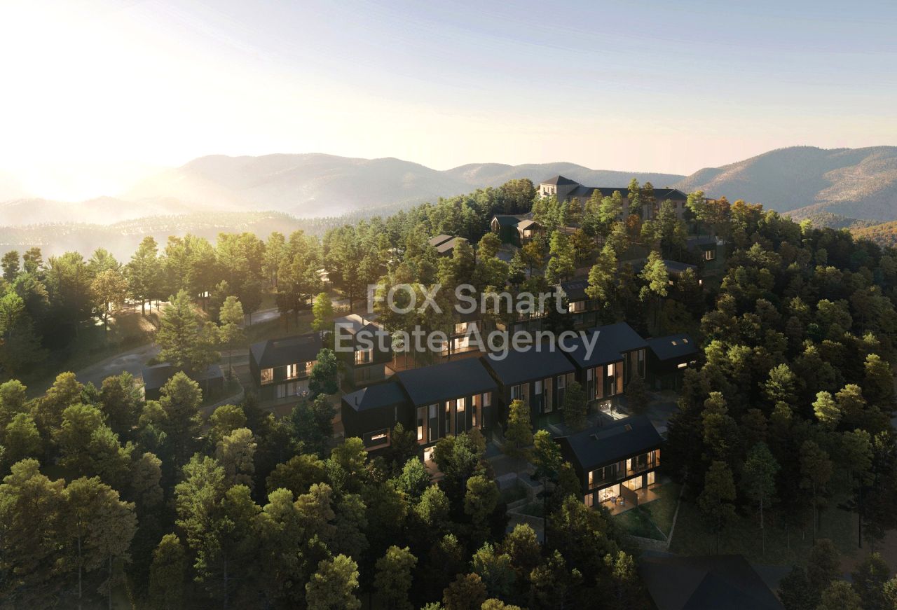 Thumbnail 5 Property 4840 Prodromos, Limassol / LIM-PAF-32290