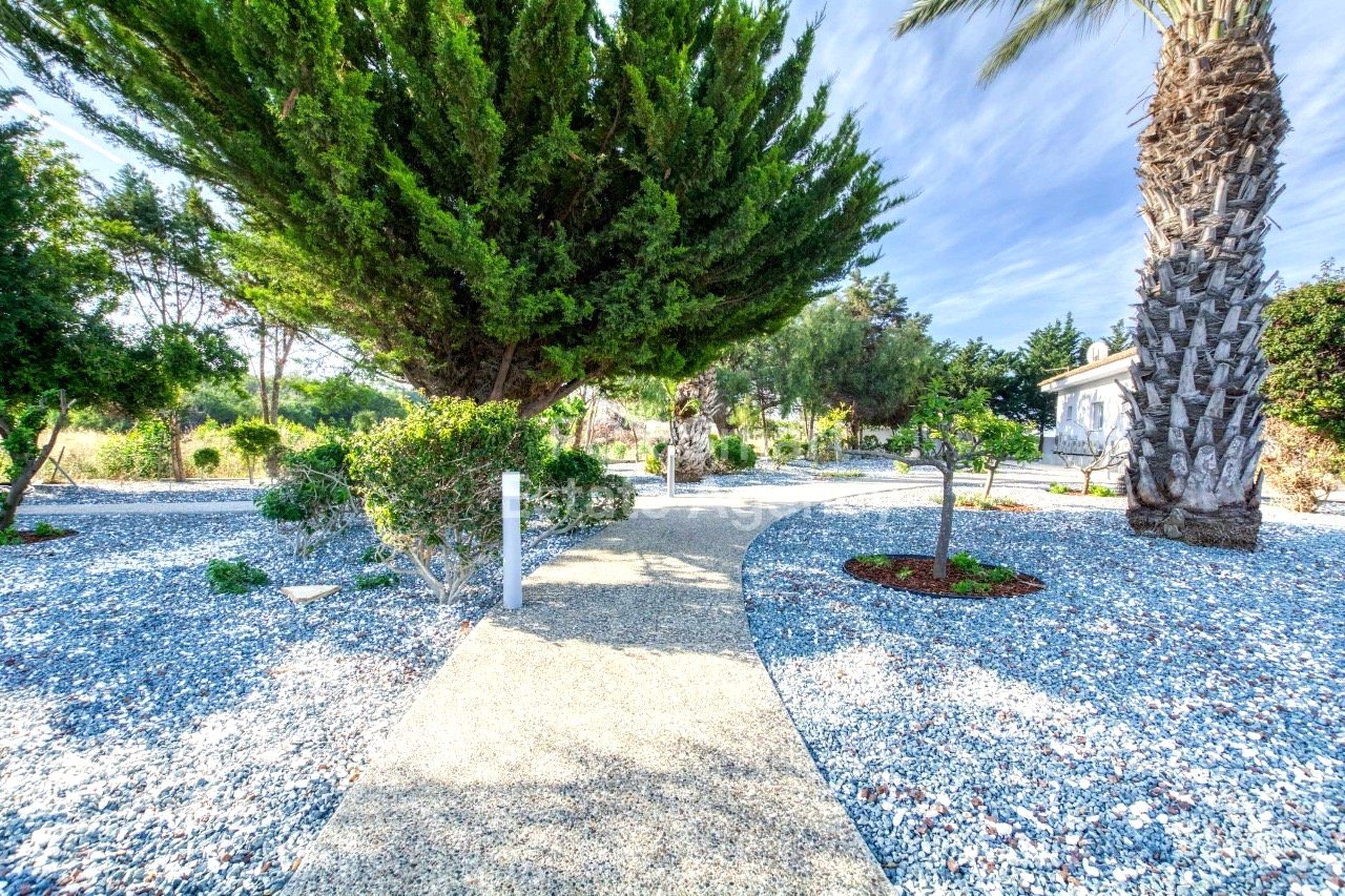 Thumbnail 13 Proprietà 5296 Protaras, Famagusta / 48746